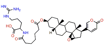 3-(N-Pimeloyl argininyl)-resibufogenin